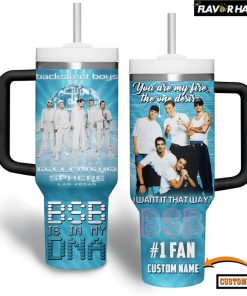 Backstreet Boys 2025 Tour Limited Edition Stanley Tumbler Cup