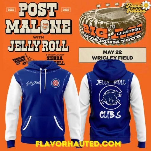 Chicago Cubs x 2025 Jelly Roll Wrigley Field Concert Special Hoodie