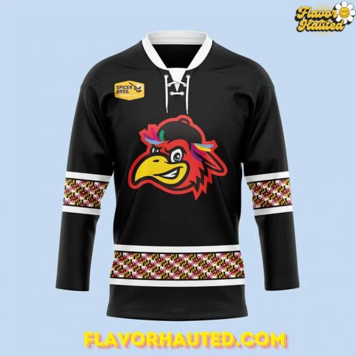 Delmarva Shorebirds Maryland Pride 2025 Special Hockey Jersey