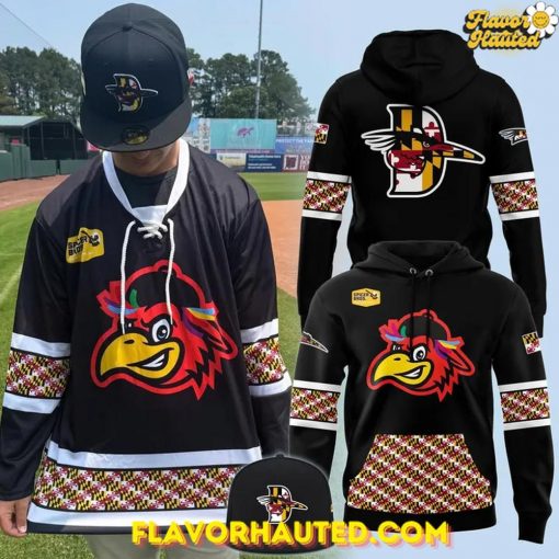 Delmarva Shorebirds Maryland Pride 2025 Special Hoodie