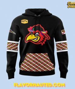 Delmarva Shorebirds Maryland Pride 2025 Special Hoodie