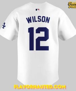 Los Angeles Dodgers The Beach Boys Brian Wilson Baseball Jersey 3
